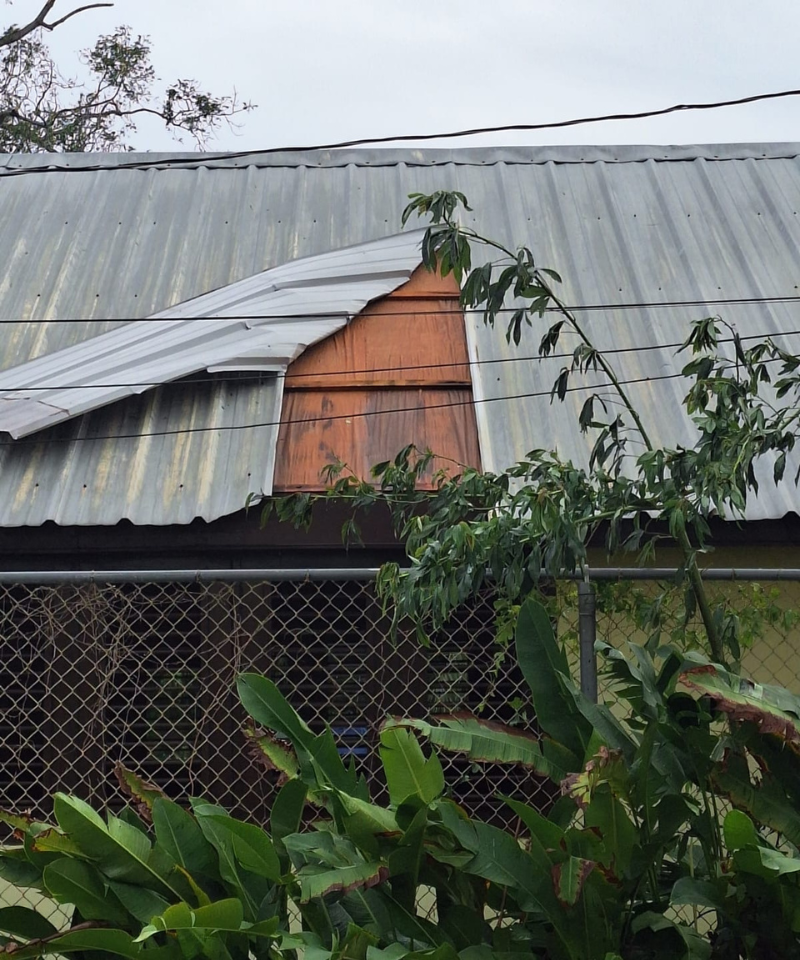 A damaged tin roof exposes wood on a building. There are trees in front of and behind the building.