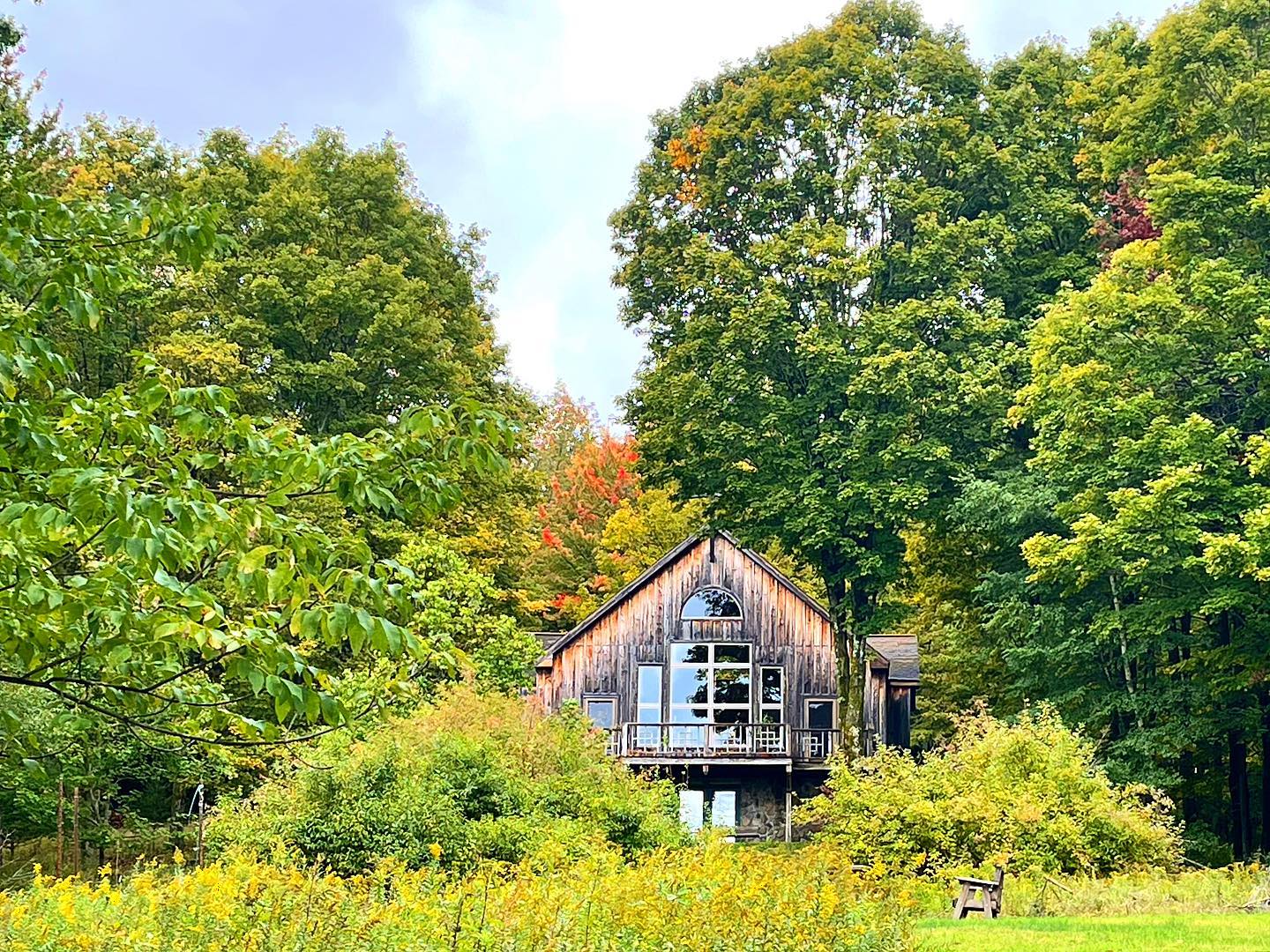 A wooden building stands in a wooded area with long grass and a wooden bench out front on a sunny day.