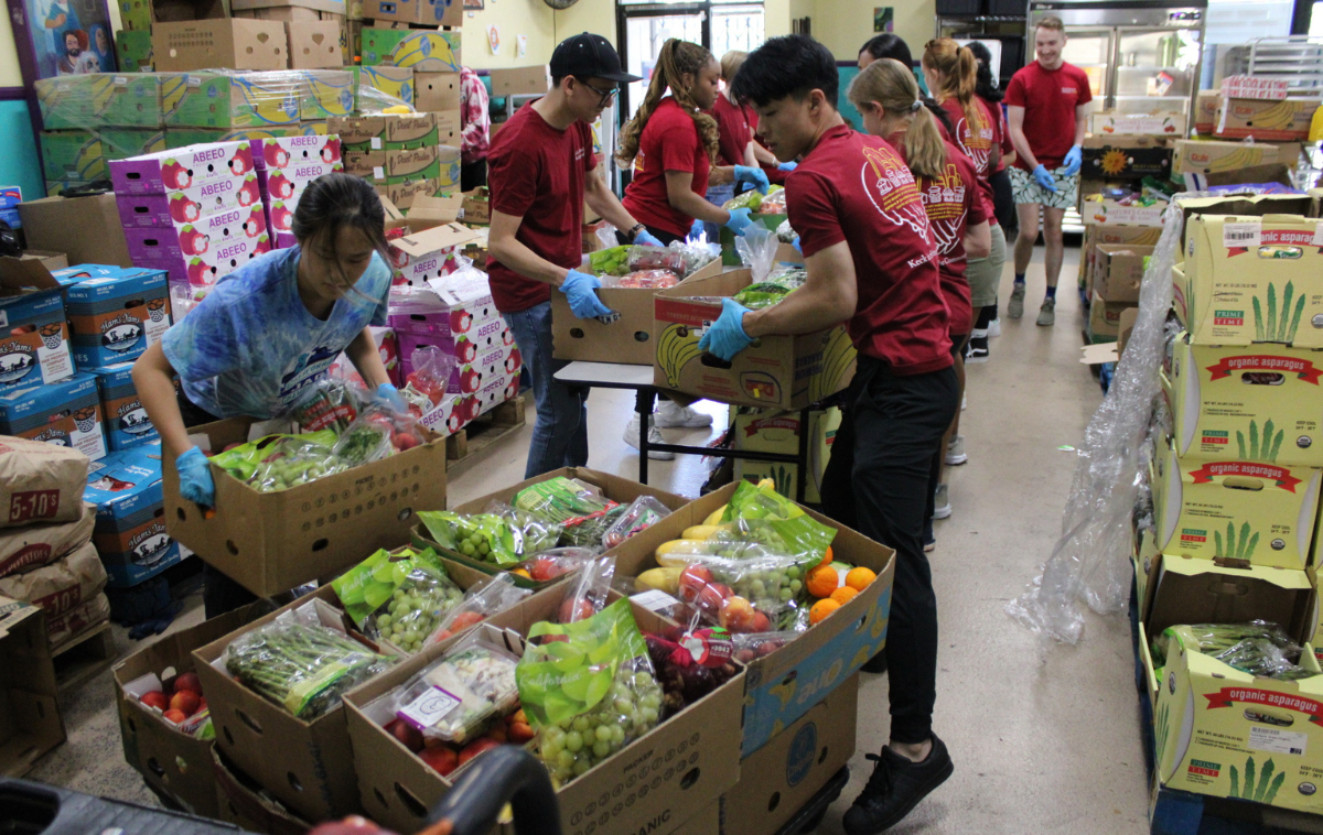 Volunteers wearing red shirts and blue plastic gloves sort boxes of fruit.