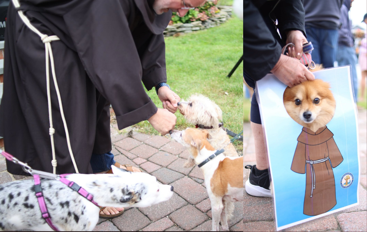 As Br. Francis Di Spigno, OFM, administered blessings to the tiniest of pets, at least one postulant pup candidate emerged. (Photo courtesy of St. Francis of Assisi Parish)