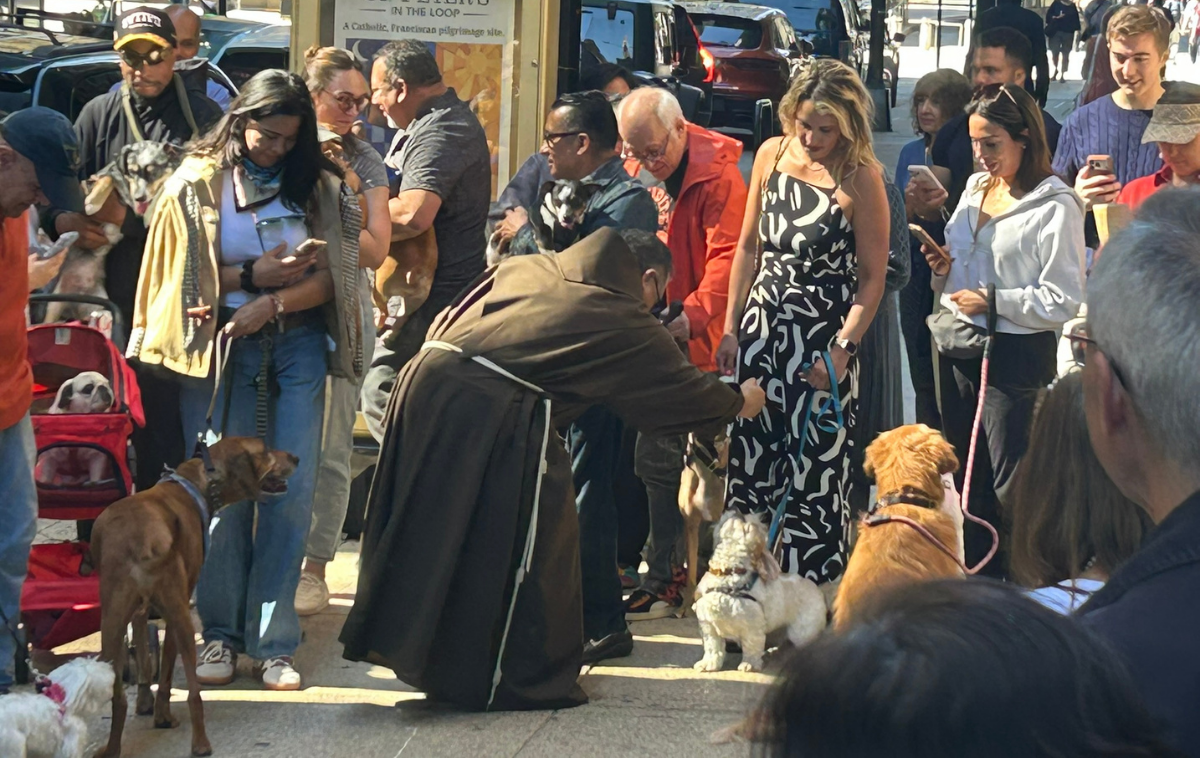 Br. Tony Posadas, OFM, blesses animals outside of St. Peter’s Church in Chicago. (Photo courtesy of St. Peter’s in the Loop)
