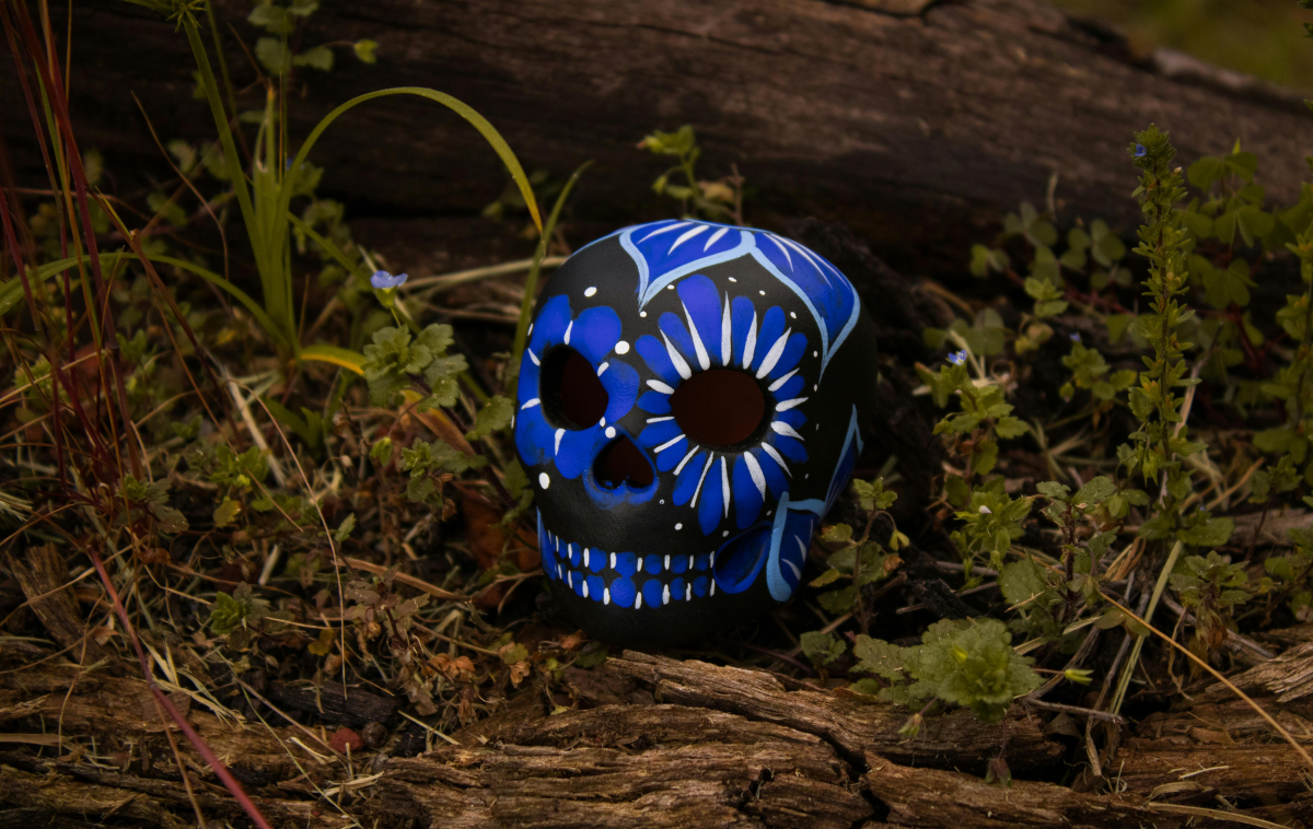 A skull painted black, blue and white sits on a forest floor.